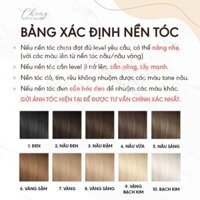 TANG1 Thuốc nhuộm tóc màu NÂU RÊU không cần thuốc tẩy tóc Chenglovehairs, Chenglovehair . MS6