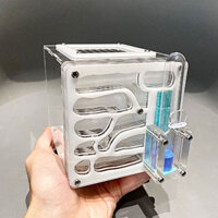 Tank Kiến , Ổ Kiến , Nhà Cho Kiến, Nuôi Kiến S17