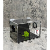 Tank mica/ Hộp mica nuôi bọ cạp, nhện kích thước 15-10-10 (mẫu ô lưới)