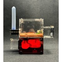 Tank Nuôi Kiến H01- Có Đèn Tổ