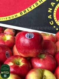 Táo Ambrosia Canada Size 90