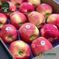 Táo Ambrosia Canada