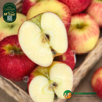 Táo Ambrosia New Zealand Size 35