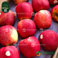 Táo Ambrosia New Zealand Size 30