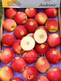 Táo Ambrosia New Zealand