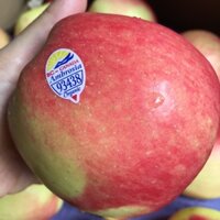 Táo Ambrosia Organic Canada