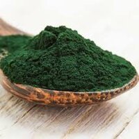 Tảo bột spirulina  500gr - Thức ăn cho atermia, cá cảnh