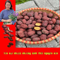 Táo Bụi Nhược Khương Quân Đoàn Tân Cương nguyên sinh thái nguyên bụi, dụng cụ lấy hạt táo đỏ.