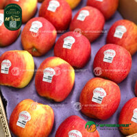 Táo Envy Mỹ Size 100