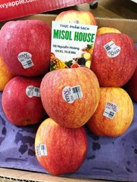 Táo Envy Mỹ size 24