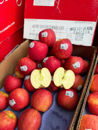 Táo Envy Mỹ size 88