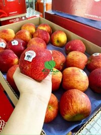 Táo Envy New Zealand Size 90