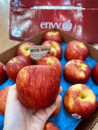 Táo Envy NZL size 70