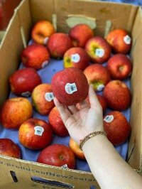 Táo Envy NZL size 90 (0614)