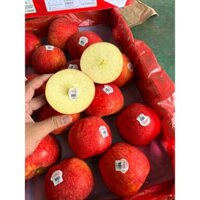 Táo Envy Size Trung - 1kg