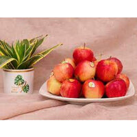 Táo Gala Canada Nhập Khẩu (Giá 1kg)