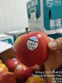 Táo Gala Mỹ (Sao chép)