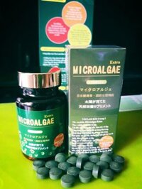 TẢO LAM BẢO 3IN1 - MICROALGAE EXTRA