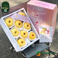 Táo Mật Vàng IWATE JUNJO Nhật Bản - Táo Mật Vàng Haruka Nhật Bản | Hộp 3kg