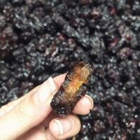 Táo tàu đen cùi dầy nhiều thịt 1kg rất ngon