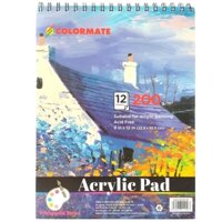 Tập Giấy Vẽ A4 Acrylic Pad 12 Tờ Colormate ARTIST-AP