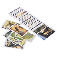 [Tarot] Bộ Bài Bói Tarot Wild Wood Tarot shoptarotvn