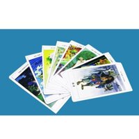 [Tarot] Bộ Bài Bói The Chinese Tarot Deck Cao Cấp  shoptarotvn