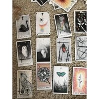 [Tarot] Bộ Bài Bói The Wild Unknown Tarot Cao Cấp shoptarotvn