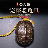Tất Cả Tự Nhiên Vỏ Rùa Tay Cầm Mảnh Tiền Rùa Vỏ Đồ Trang Trí
