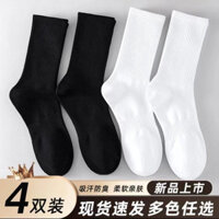 Tất cao [6 đôi] Tất Zhuji tất nam tất nữ cotton mùa hè mỏng đen trắng vớ nam màu trơn