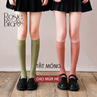 Tất Cao Cổ Mỏng, Vớ Giả Boot- Tất Làm Thon Nhỏ Bắp Chân Thun Tăm Mịn Mùa Hè PK490 - Trắng mỏng