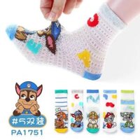 Tất cho bé trai bé gái DINOKING Set 5 đôi tất vớ cao cổ cho bé dày dặn giữ ấm chân mùa thu đông trẻ em 1 - 9 tuổi PAW PATROL