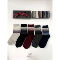 Tất cổ cao nam - Tất họa tiết sọc ngang 5 màu