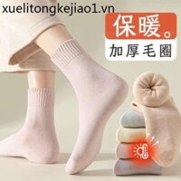 Tất Dày Nữ Thu Đông Lông Cừu Lót Dày Giữa Chiều Ống Terry Tất Cotton Sợi Mùa Đông Nữ Confinement Ấm Ngủ Tất