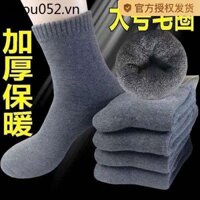 Tất Nam Chống Lạnh Nam Mùa Đông Giữa Ống Tất Vớ Dày Ống Dài Tất Len Lông Cừu Khử Mùi Ai