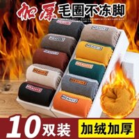 Tất Nam Cực Nam Mùa Đông Tất Vớ Dày Ống Dài Len Tất Lông Cừu Khử Mùi Tất Giữa Ống Nhiệt Tất