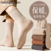 Tất Nam Thu Đông Lông Cừu Lót Dày 100% Giữa Ống Ấm Áp Sợi Cotton Nguyên Chất Tất Nam Vớ