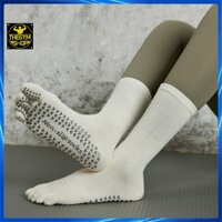 Tất nữ tập Yoga Gym Pilates AMIN TYG03 xỏ ngón có silicon chống trơn trượt, vớ chân nữ cao cổ cotton thoáng khí