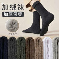 Tất Terry Nam Mùa Đông Lông Cừu Lót Dày Ấm Giữa Ống Siêu Dày Hút Mồ Hôi Thể Thao Mùa Đông Dài