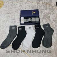 Tất thể thao nam polo sport cổ trung nhiều màu hộp 5 đôi vớ cổ lửng