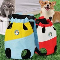 Tàu sân bay ba lô thú cưng CHENJIE Di động Bền bỉ Du lịch