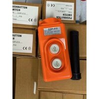 Tay bấm điều khiển cẩu trục loại 3 pha COP-213