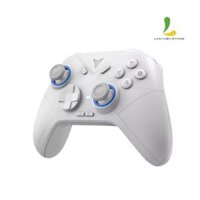 Tay Cầm Chơi Game FLYDIGI Direwolf 2