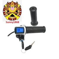 Tay Ga Xe Đạp Điện Có Khóa, Có Báo Tốc Độ Có Volt Kế Báo Vạch ắc quy 24V 36V 48V 60V