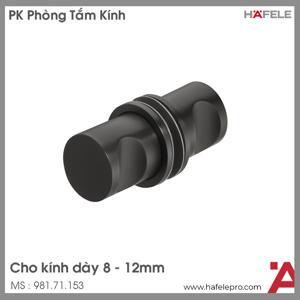 Tay nắm cho cửa kính đen mờ Hafele 981.71.153