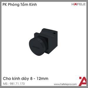 Tay nắm cho cửa kính đen mờ Hafele 981.71.173