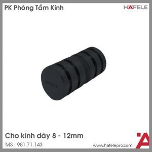 Tay nắm cho cửa kính đen mờ Hafele 981.71.143