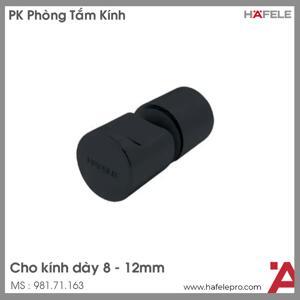 Tay nắm cho cửa kính đen mờ Hafele 981.71.163