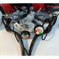 Tay Phanh Bình Dầu Dời Độ Phanh Đĩa Xe Điện (1 Cặp) ( Đồ Chơi Xe Điện)