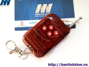 Tay phát RF315 2 kênh